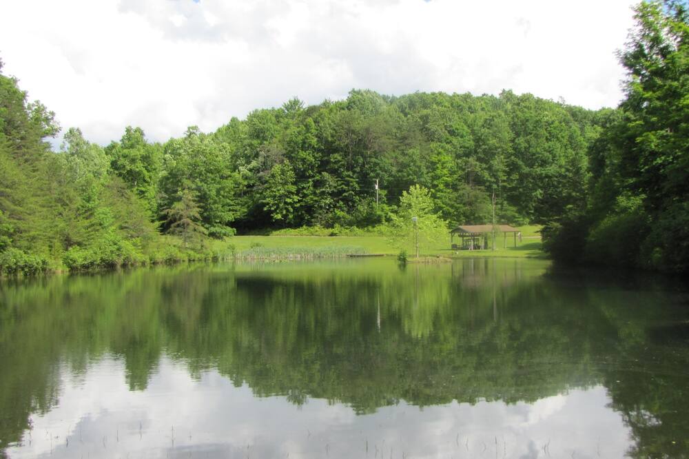 Photo of Others in Dailey