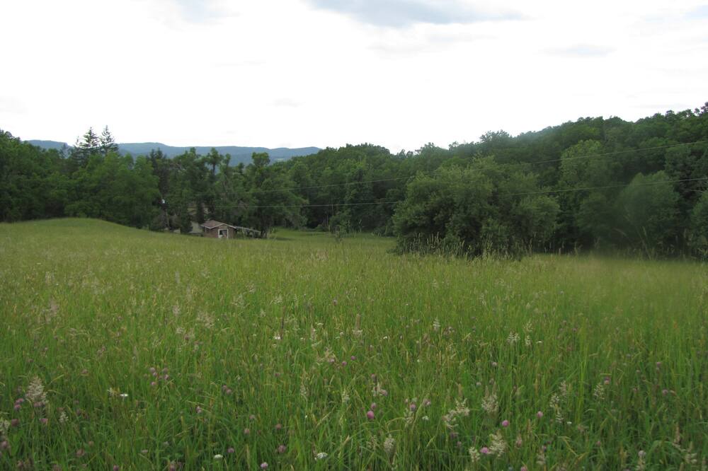 Photo of Outdoor in Dailey