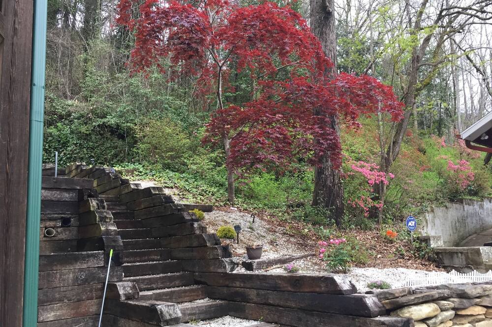 Photo of Outdoor in Chimney Rock