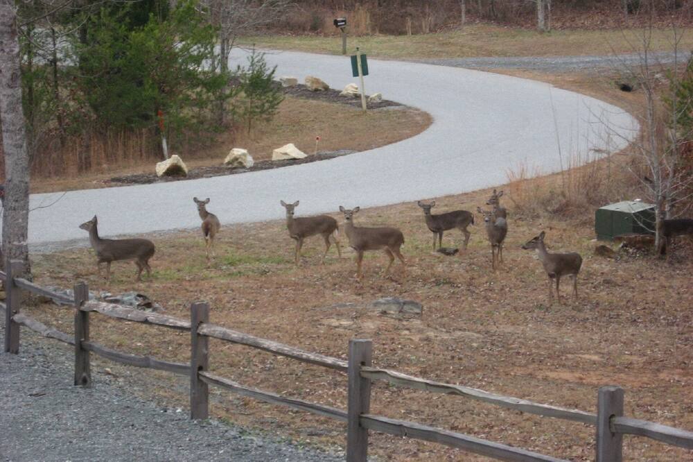 Photo of Others in Rutherfordton
