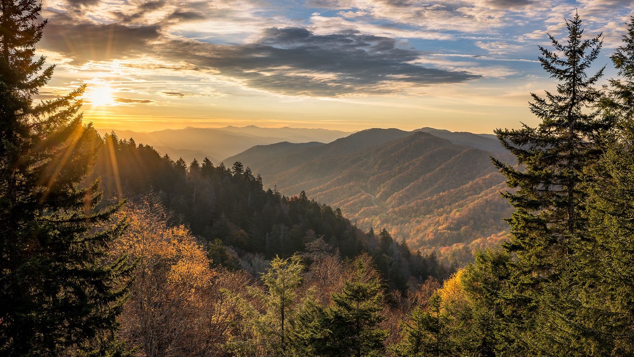 Photo of Others in Sevierville