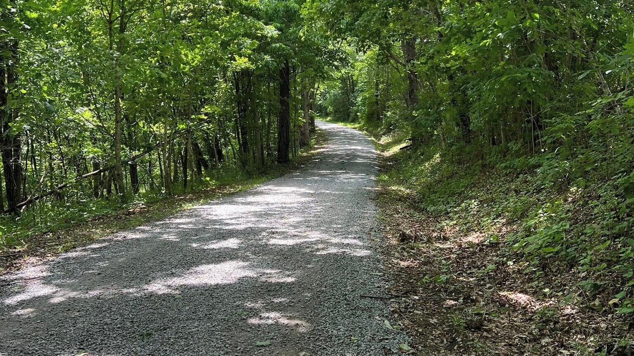 Photo of Others in Maysville