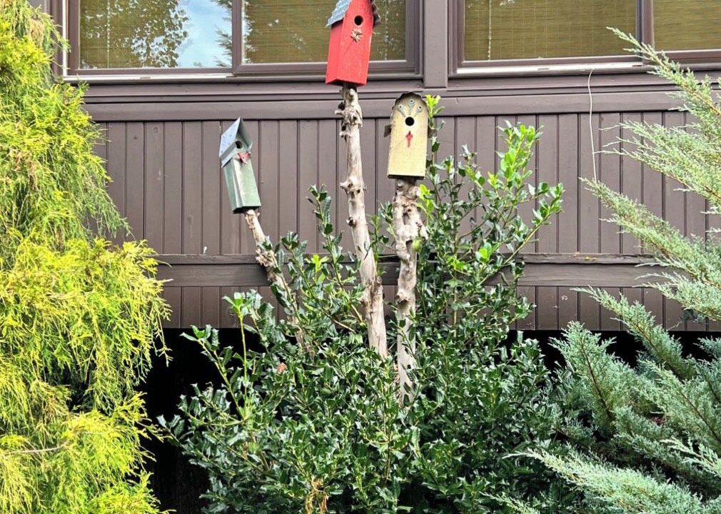 Photo of Outdoor in Bakersville