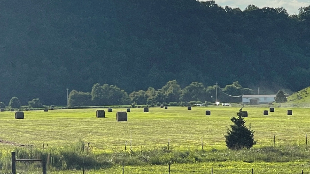 Photo of Others in Elizabethton