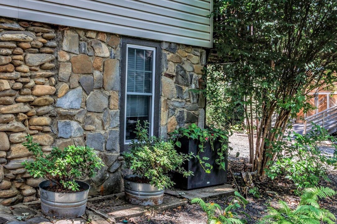 Photo of Outdoor in Black Mountain