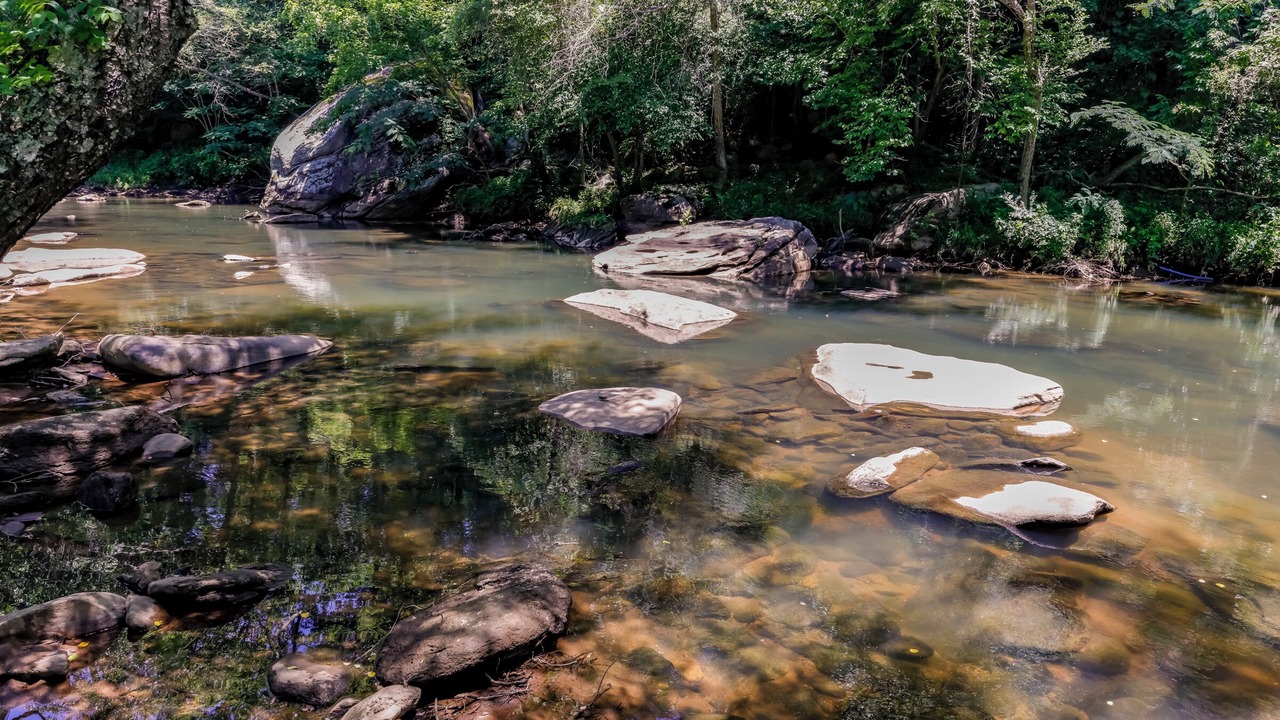 Photo of Others in Lake Lure