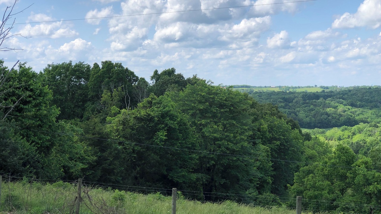 Photo of Others in Elizaville