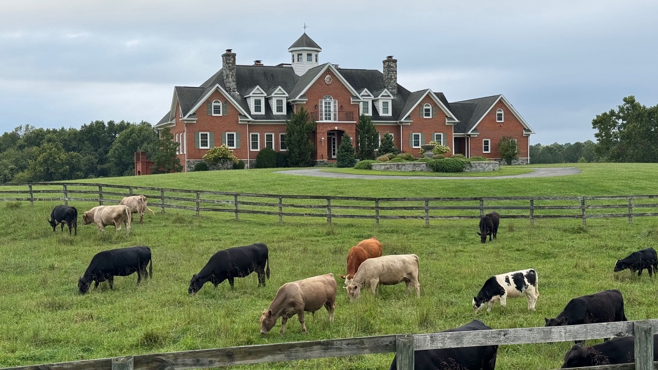 Photo of Outdoor in Darnestown