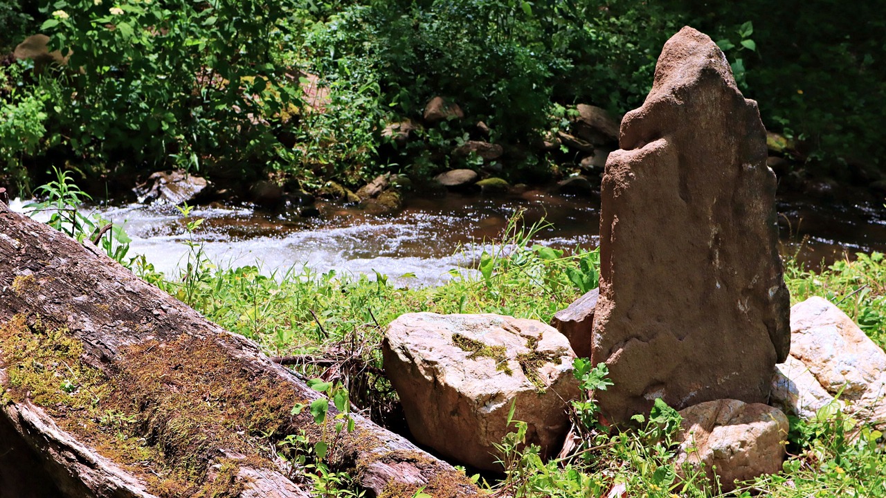 Photo of Outdoor in Barnardsville