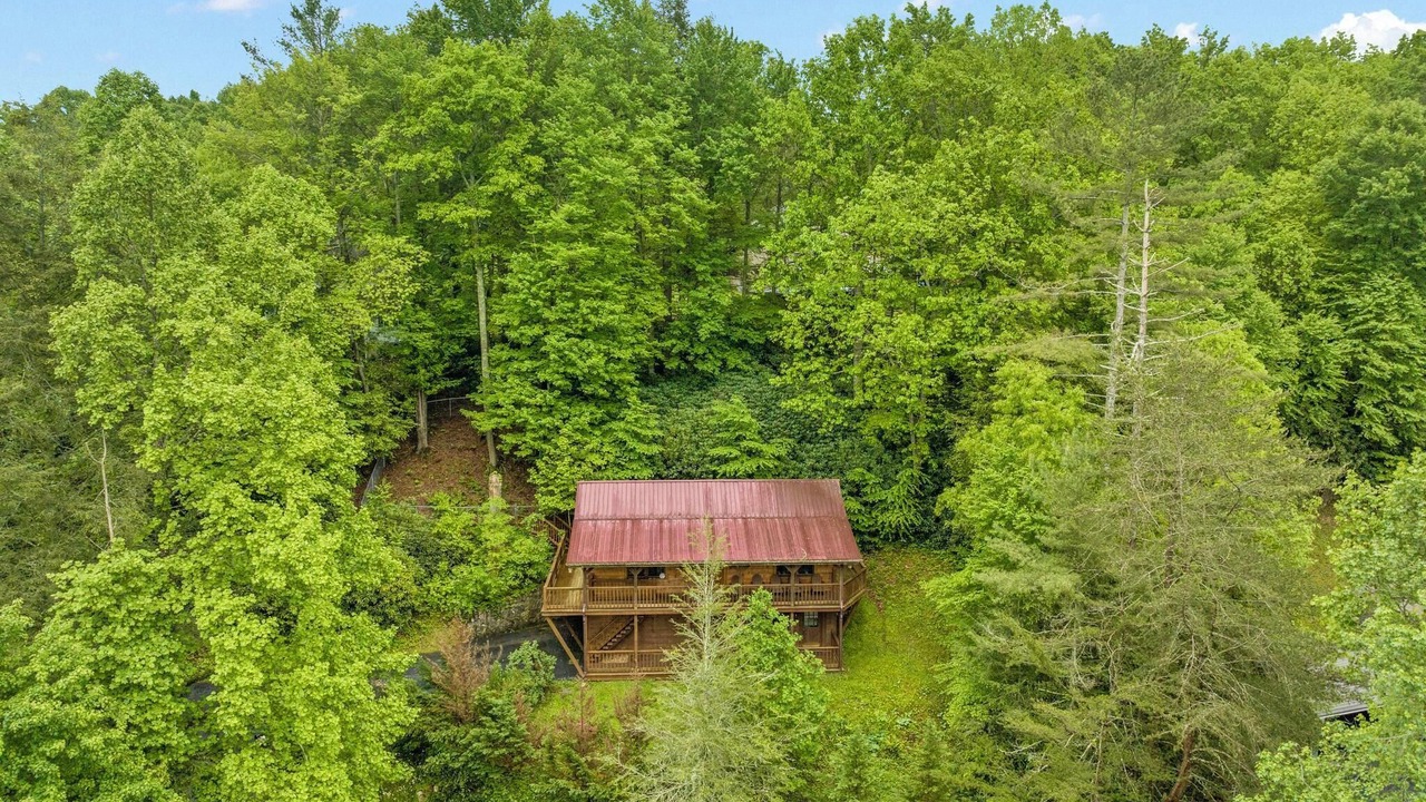 Photo of Outdoor in Unicoi County