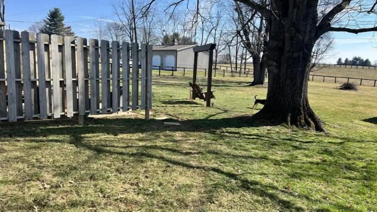 Photo of Outdoor in Lexington