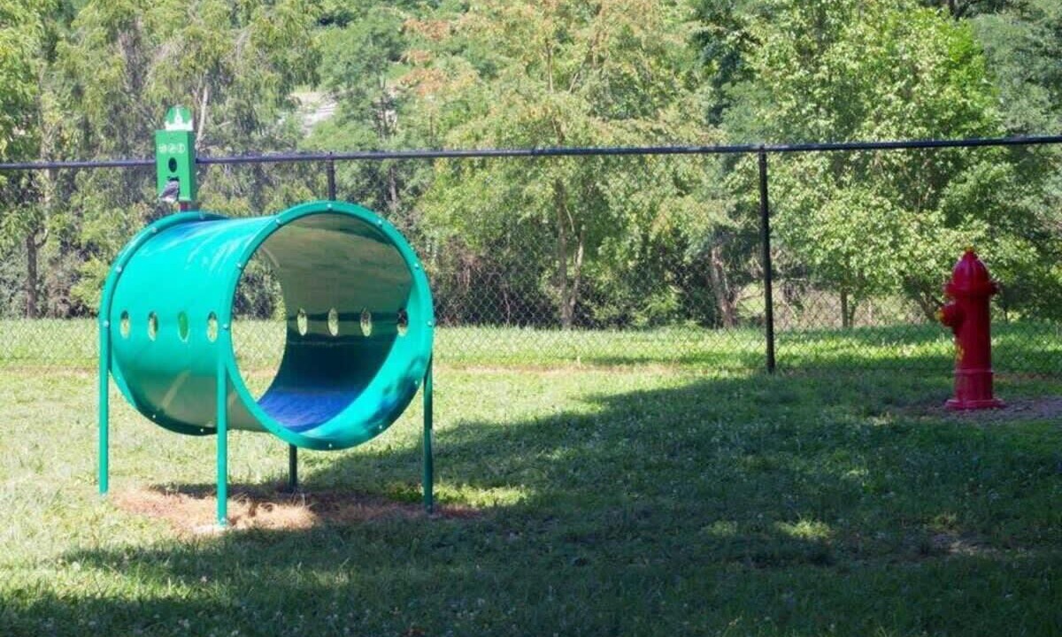 Photo of Outdoor in Jonesville