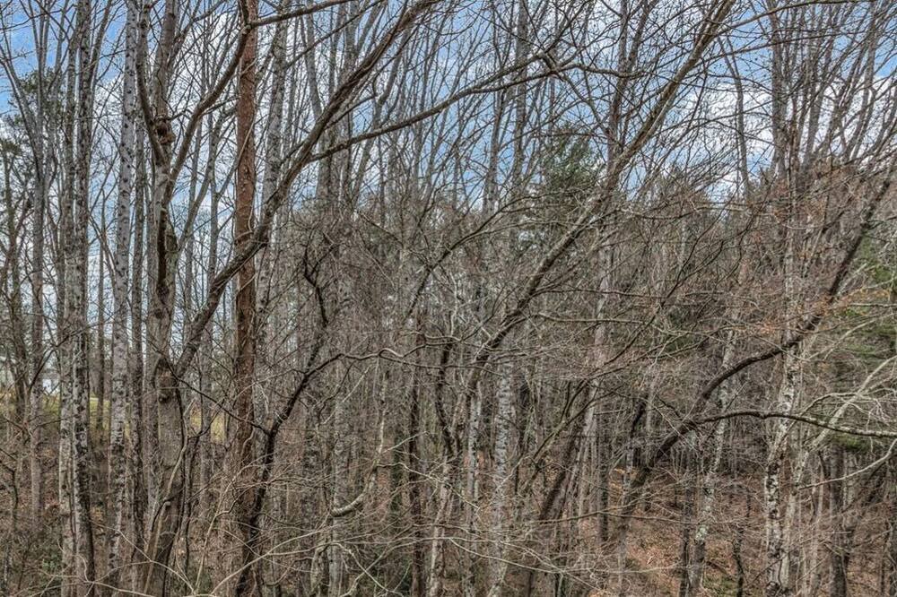 Photo of Outdoor in Swannanoa