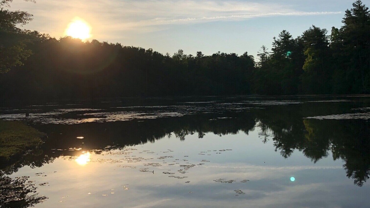 Photo of Others in Flat Rock