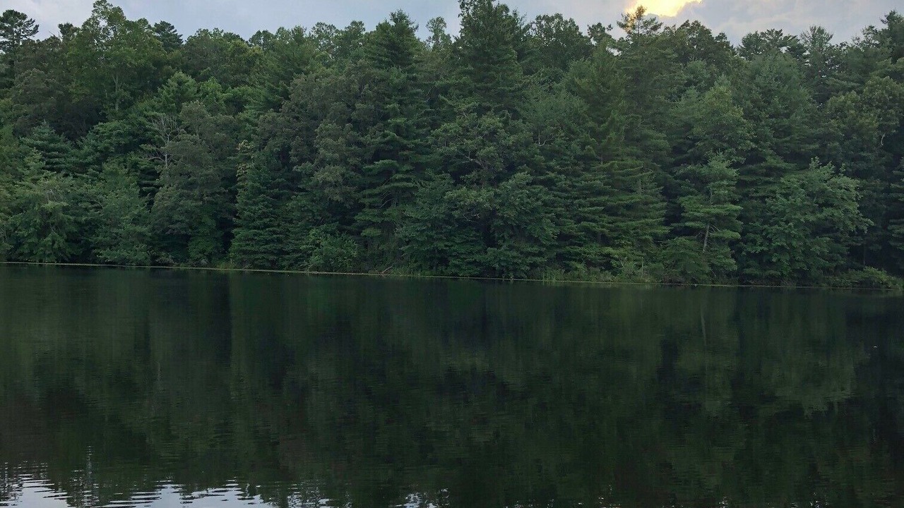 Photo of Others in Flat Rock