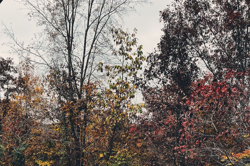 Photo of Outdoor in Gallipolis Ferry