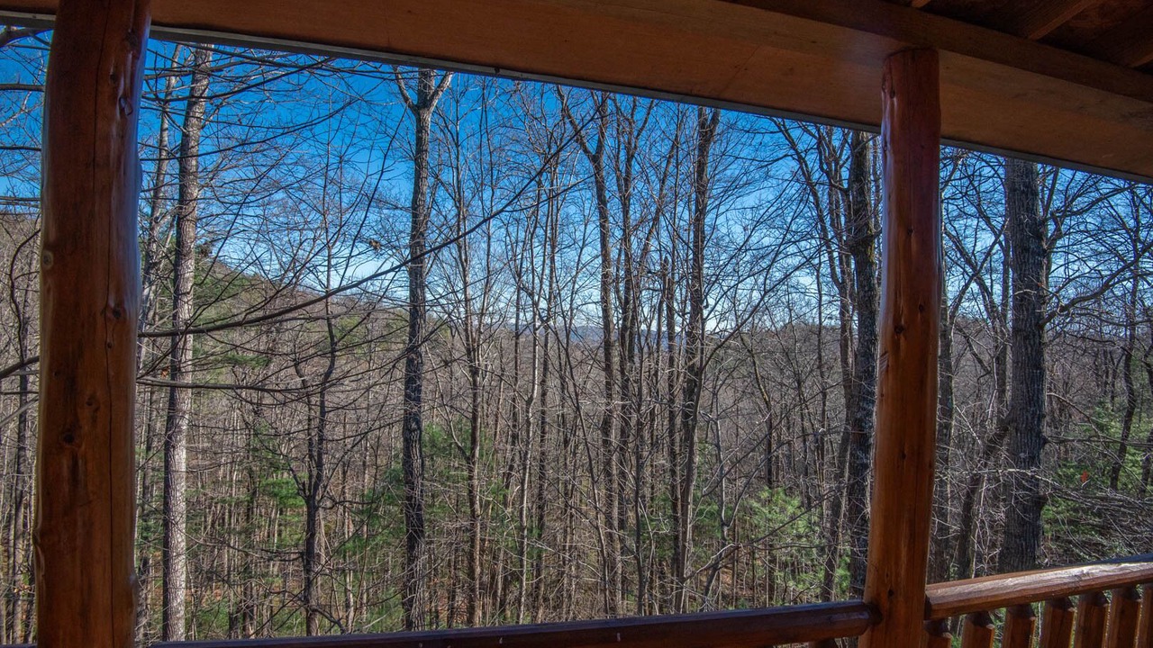 Photo of Outdoor in Millers Creek
