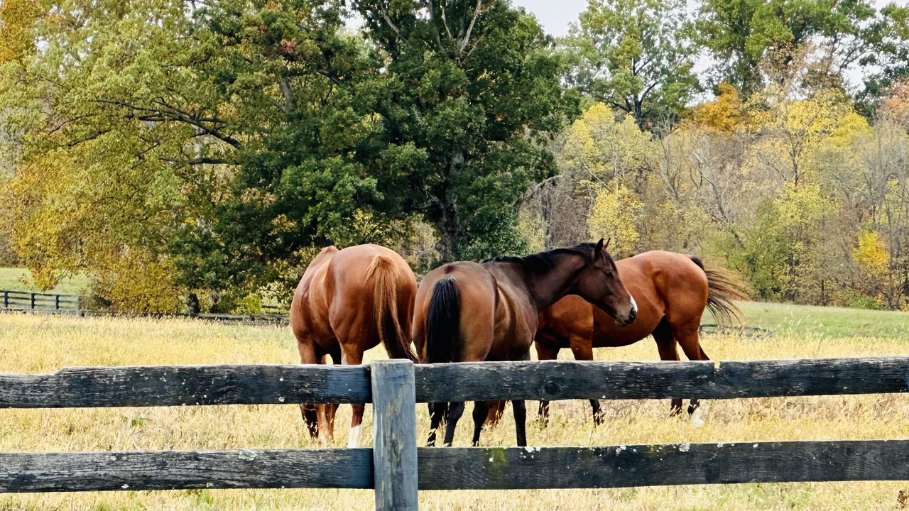 Photo of Outdoor in La Grange