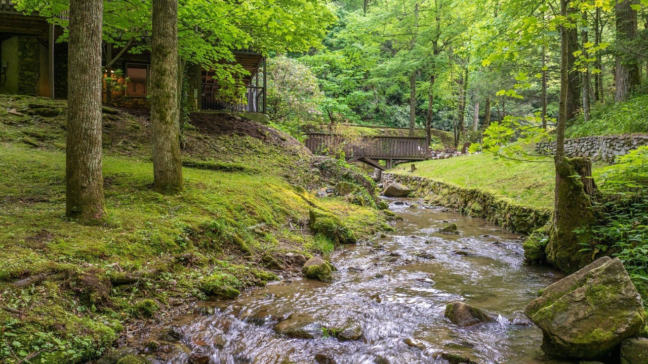 Photo of Outdoor in Apple Ridge
