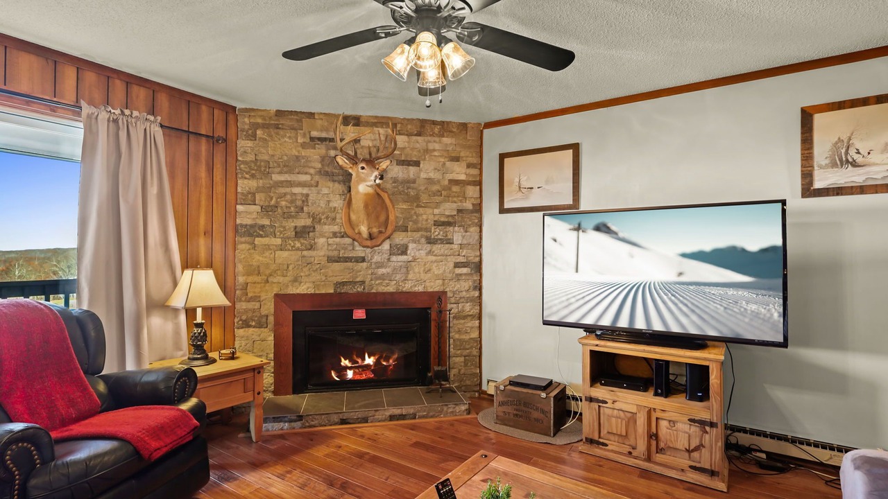 Photo of Livingroom in Beech Mountain