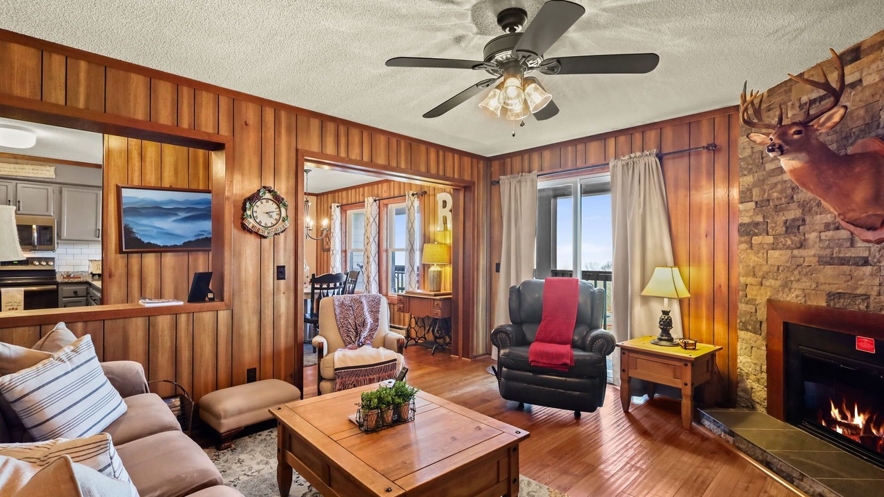 Photo of Livingroom in Beech Mountain