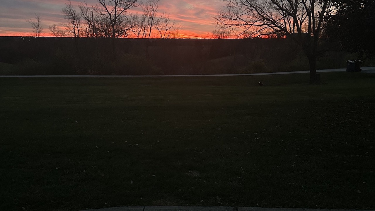 Photo of Outdoor in Williamstown