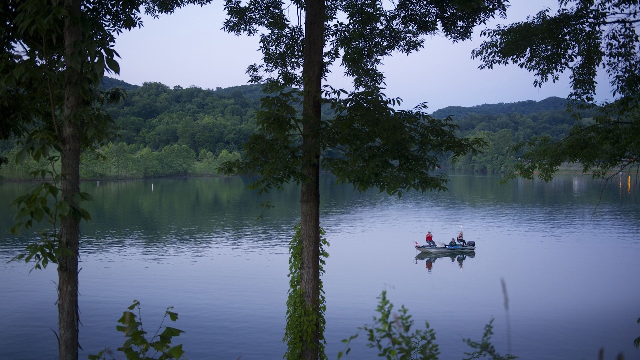 Photo of Others in Roanoke