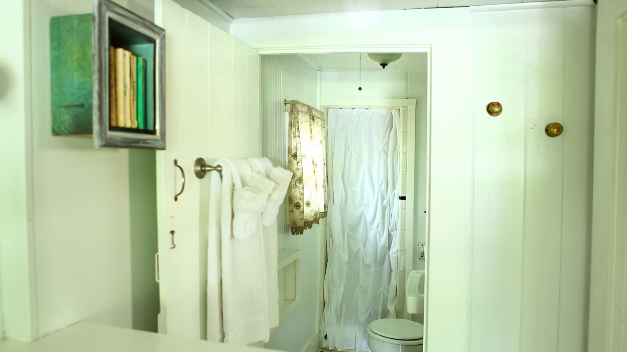 Photo of Bathroom in Woodfin