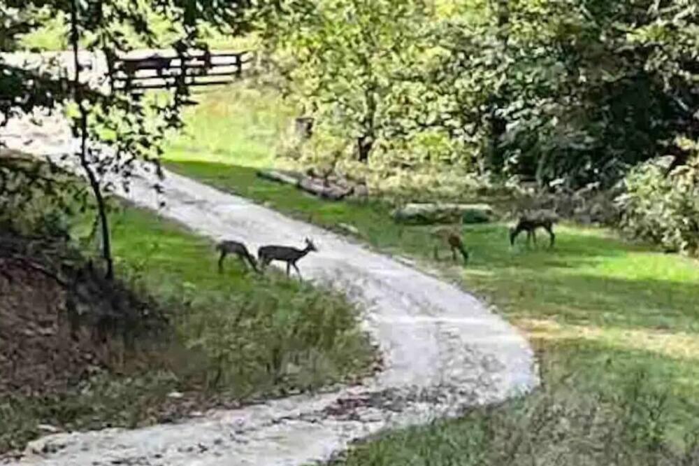 Photo of Others in Campton