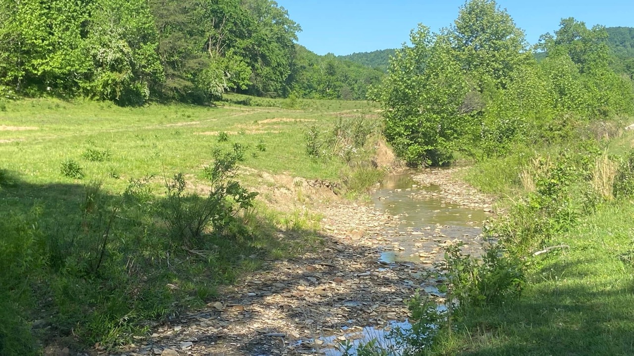 Photo of Outdoor in Clay City
