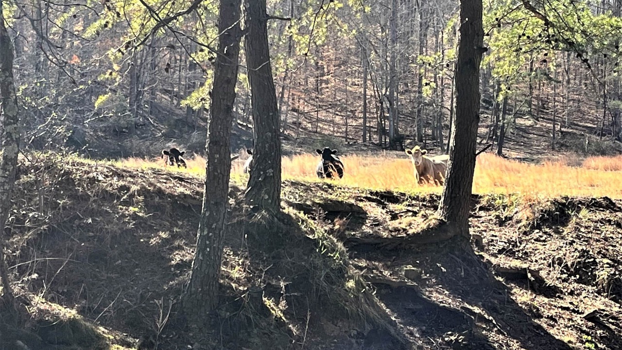Photo of Others in Clay City