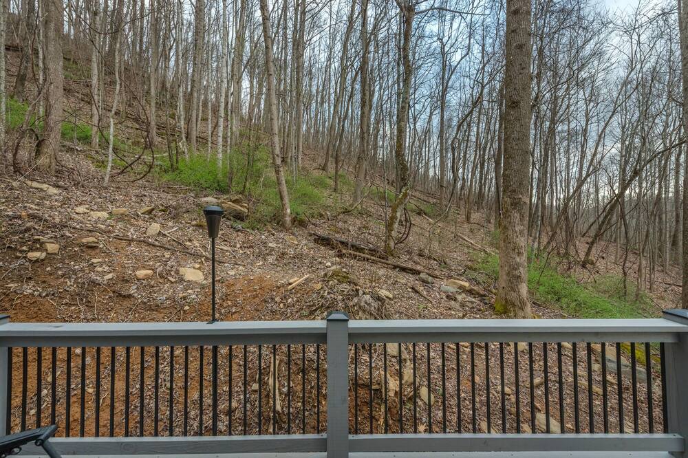 Photo of Outdoor in Swannanoa