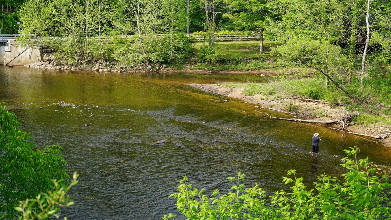 Photo of Outdoor in Leadsville
