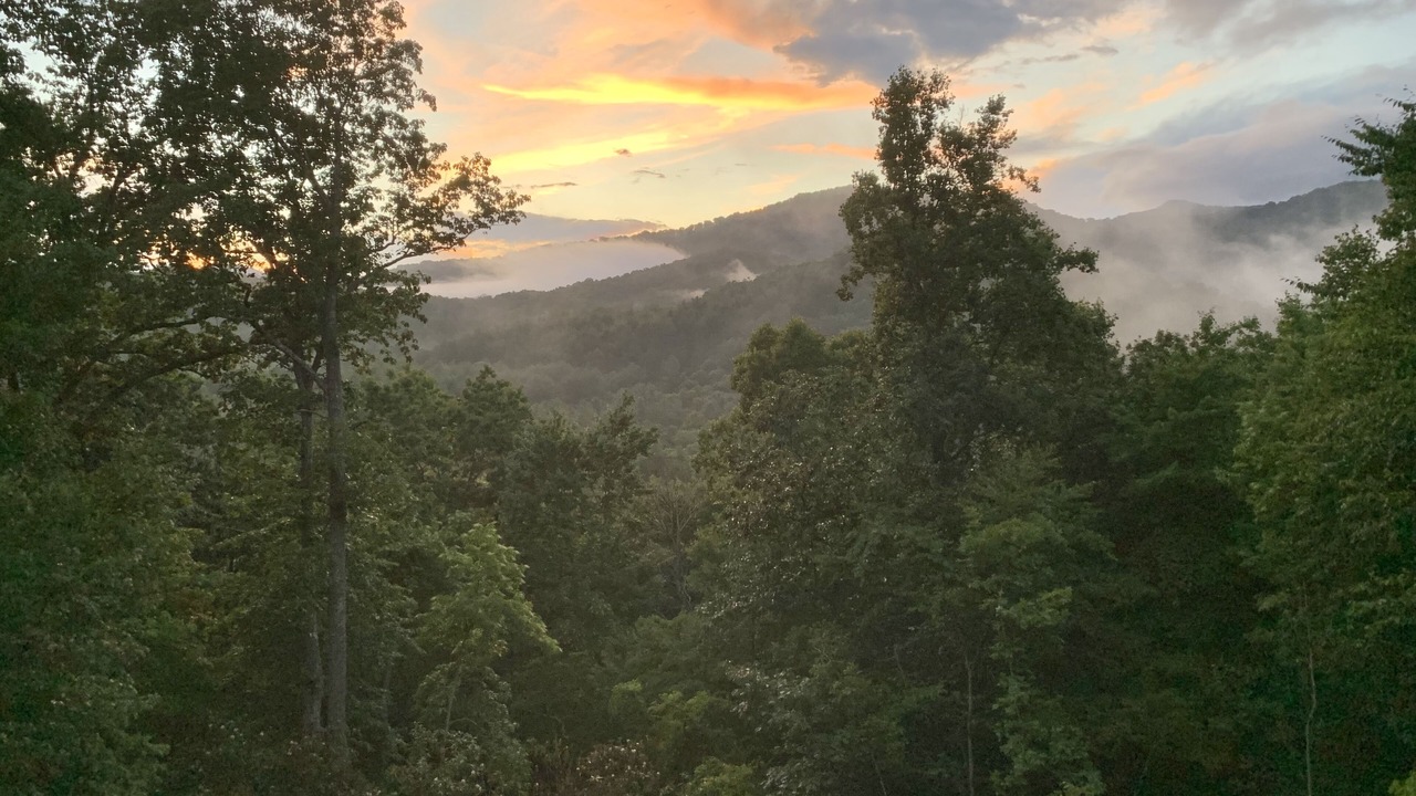 Photo of Others in Swannanoa