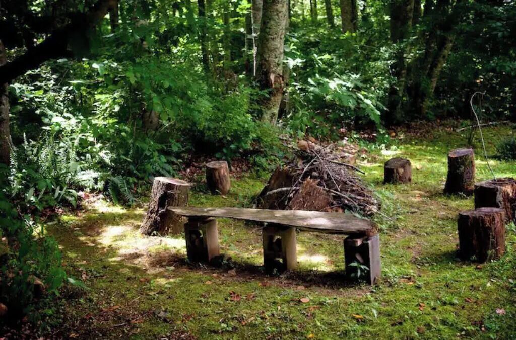 Photo of Outdoor in Swannanoa