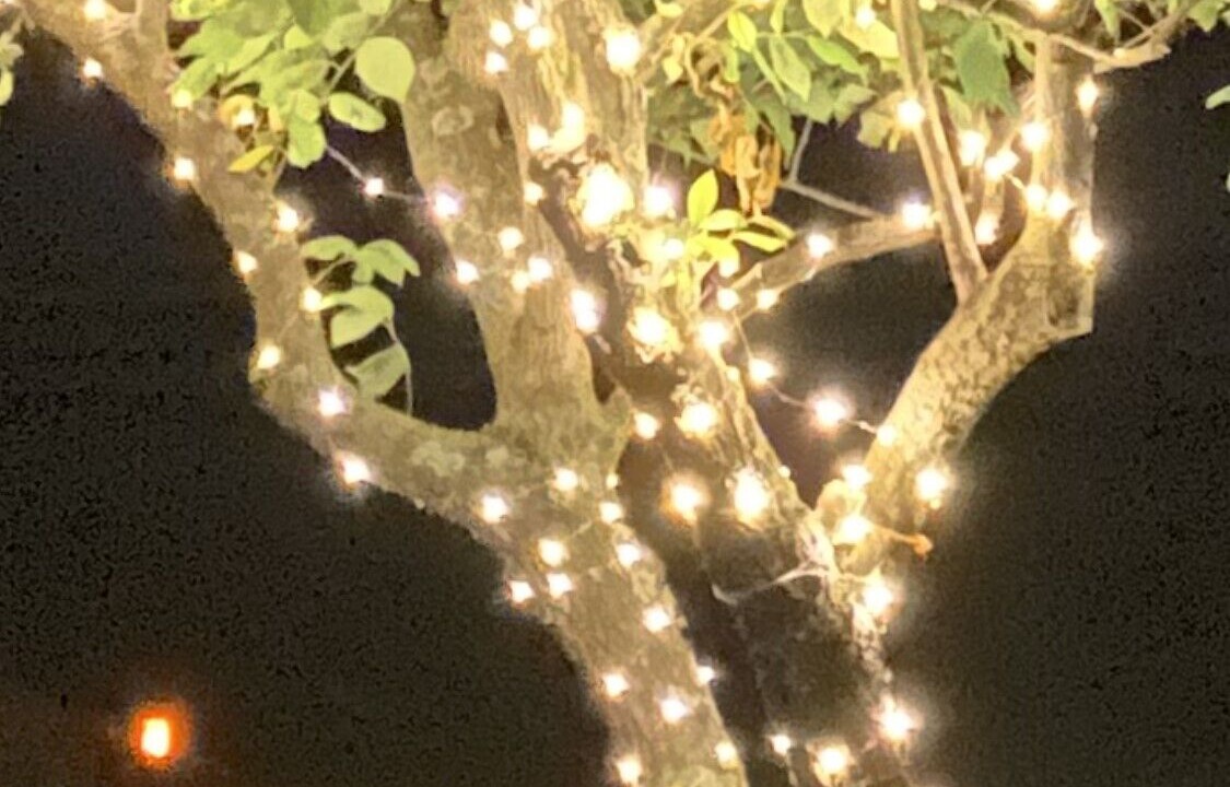 Photo of Outdoor in Georgetown