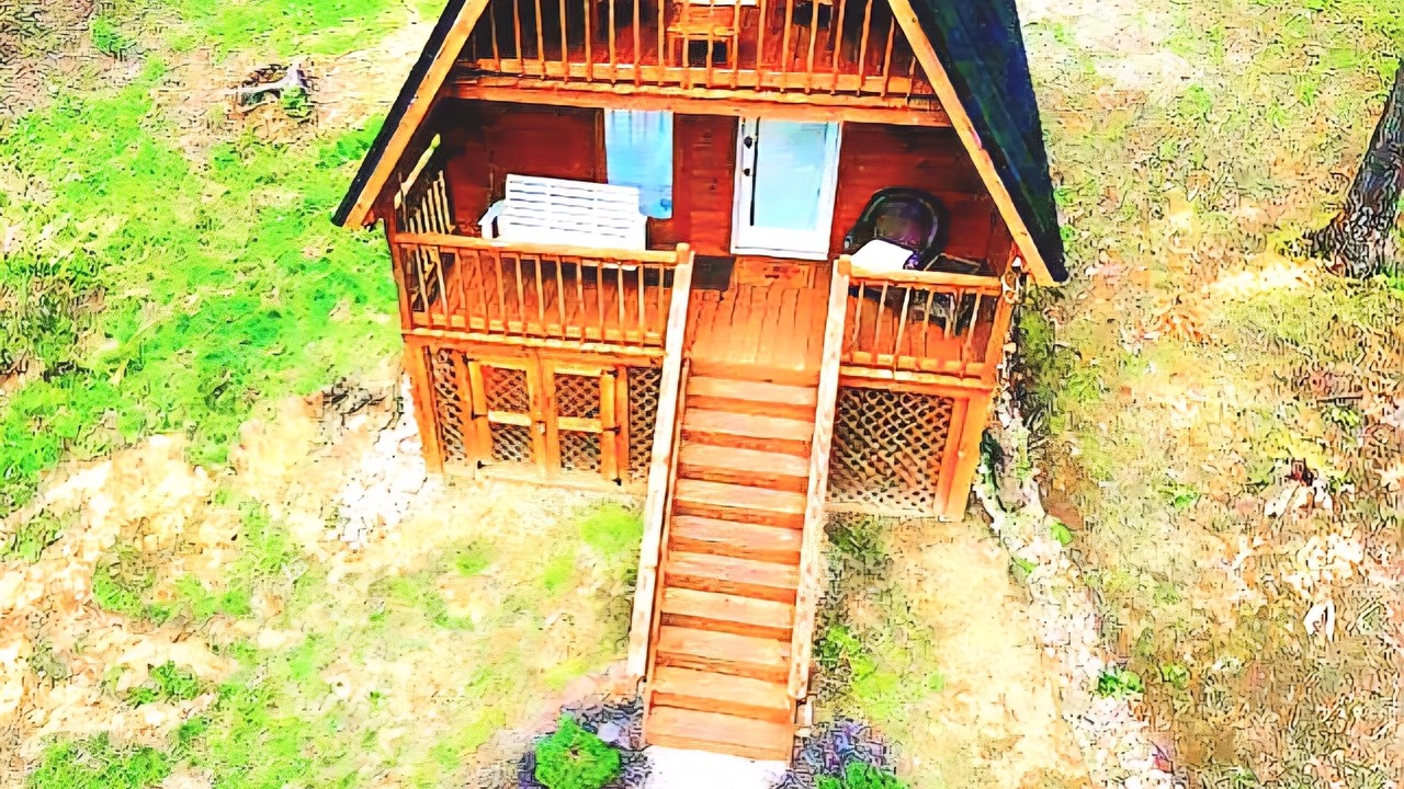 Photo of Outdoor in Wellington