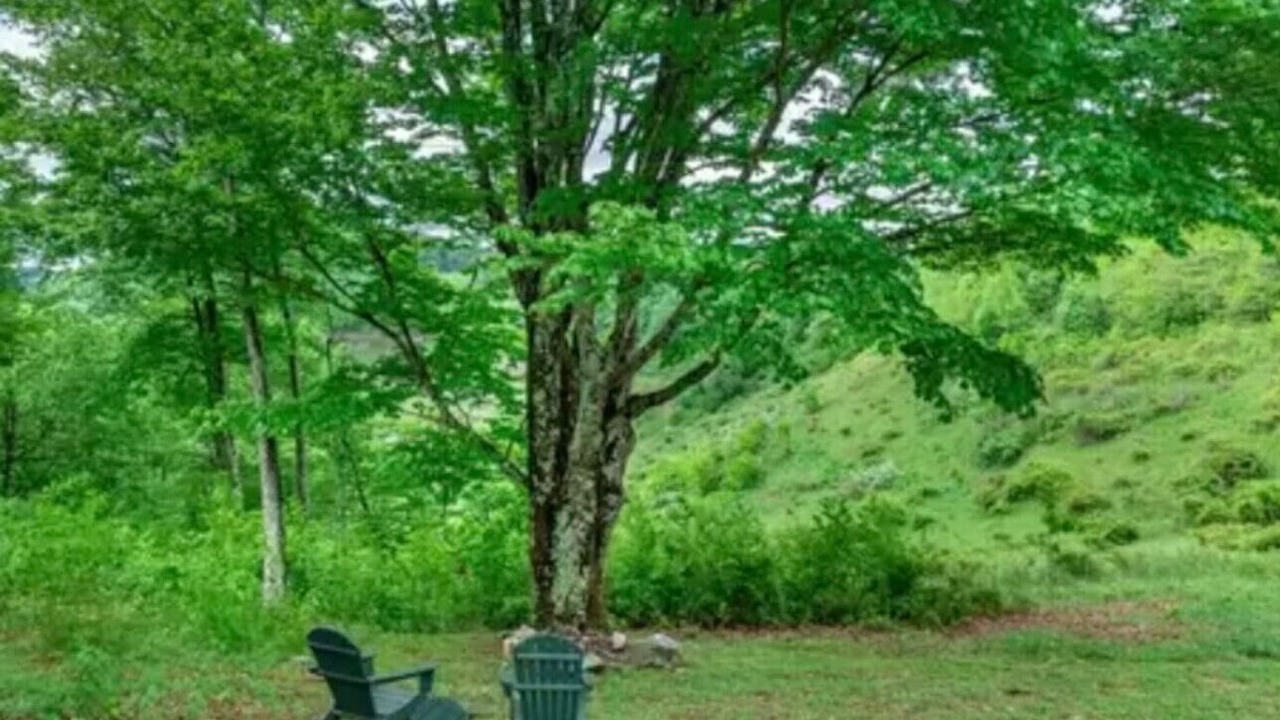 Photo of Outdoor in Todd