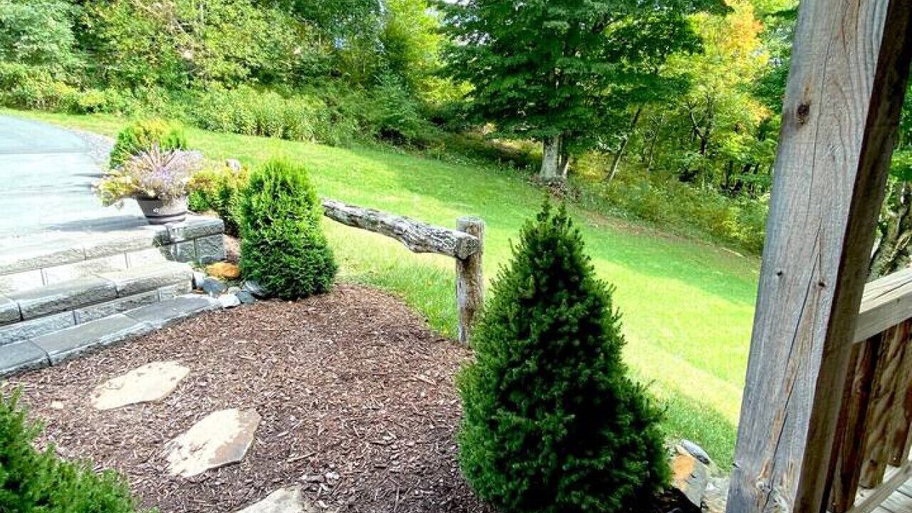 Photo of Outdoor in Todd