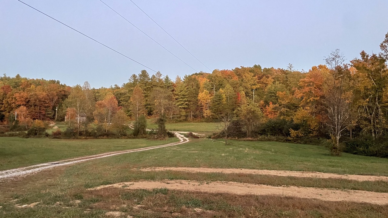 Photo of Others in Campton