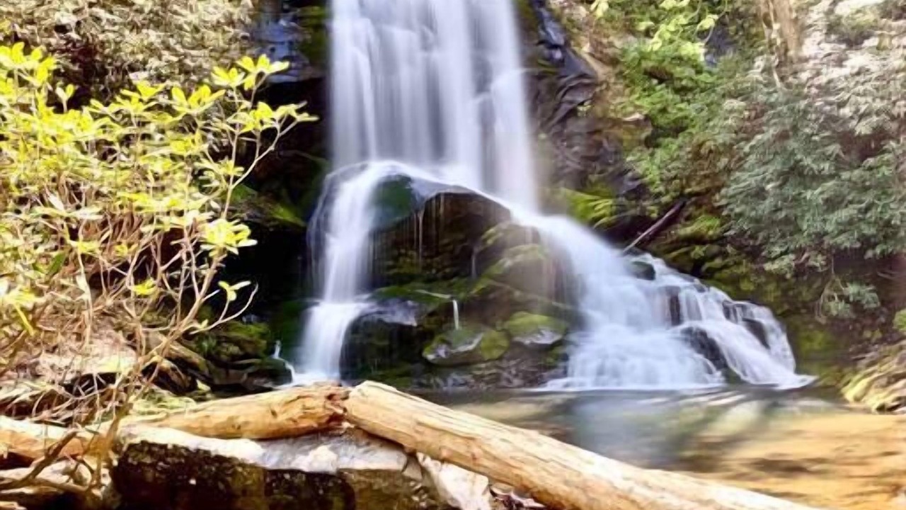 Photo of Outdoor in Black Mountain