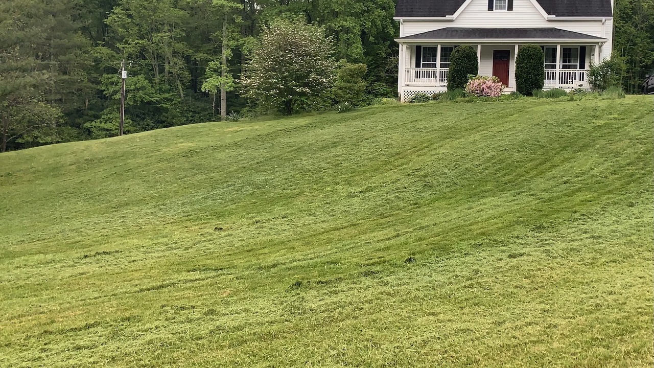 Photo of Outdoor in Fairview