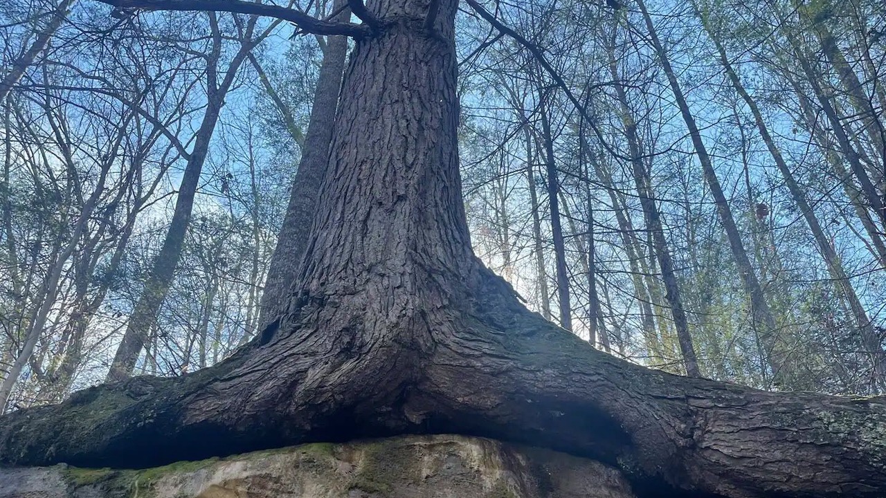 Photo of Others in Frenchburg