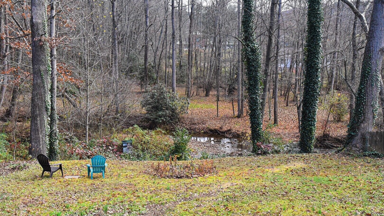 Photo of Others in Black Mountain