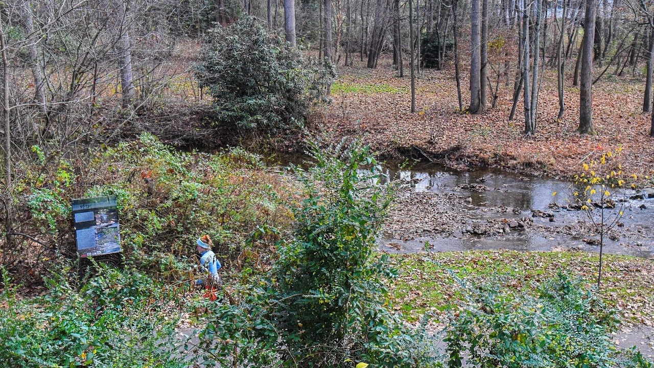 Photo of Others in Black Mountain