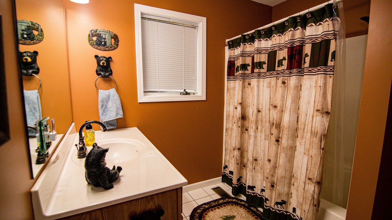 Photo of Bathroom in Swanton
