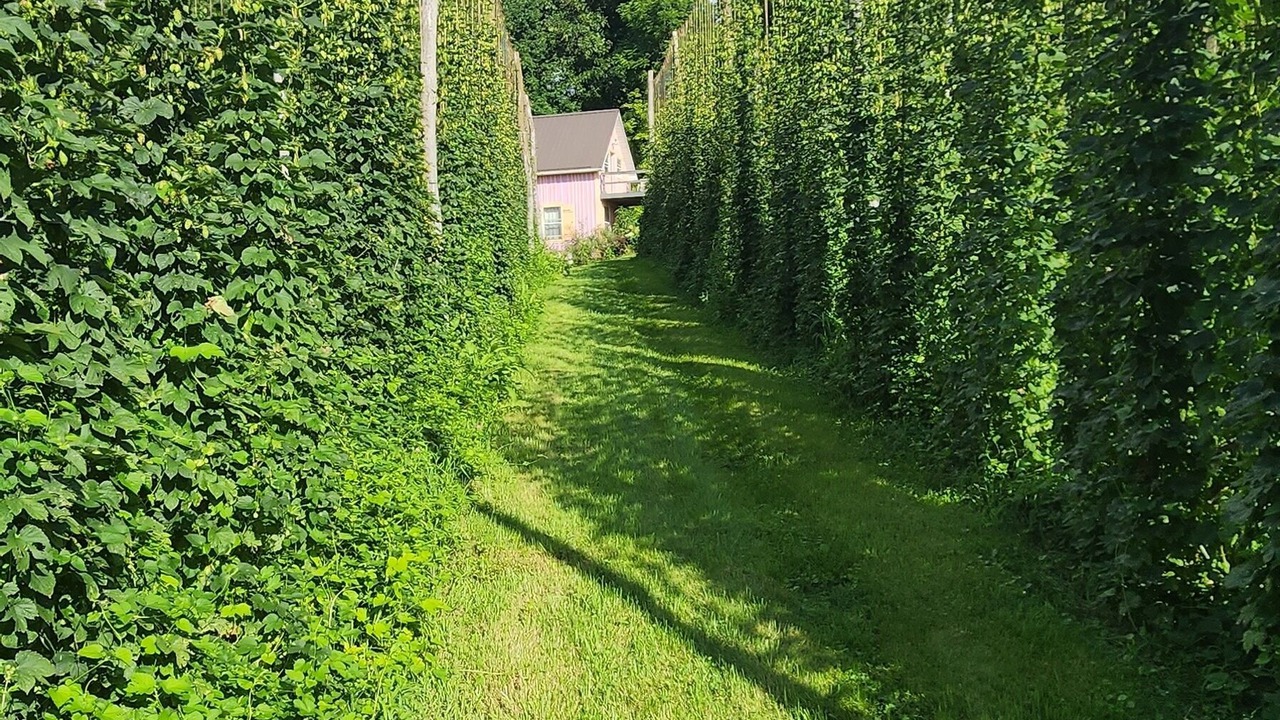 Photo of Outdoor in Carpenter