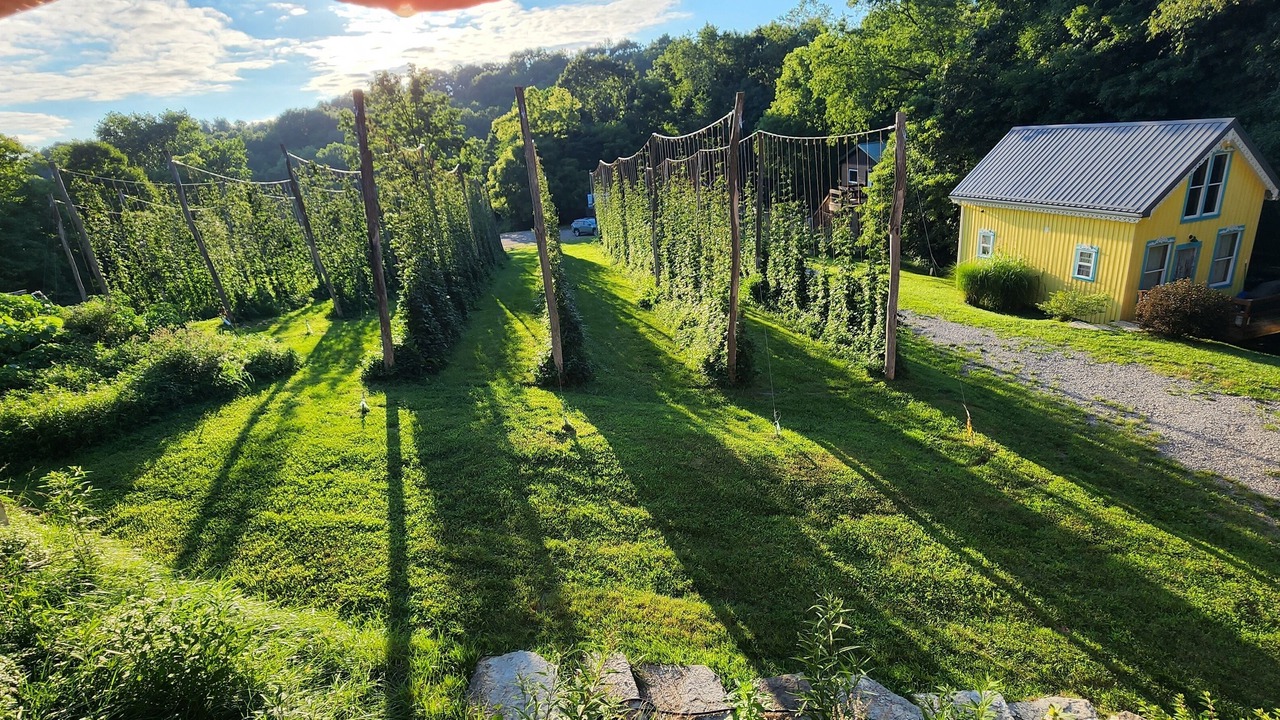 Photo of Outdoor in Carpenter