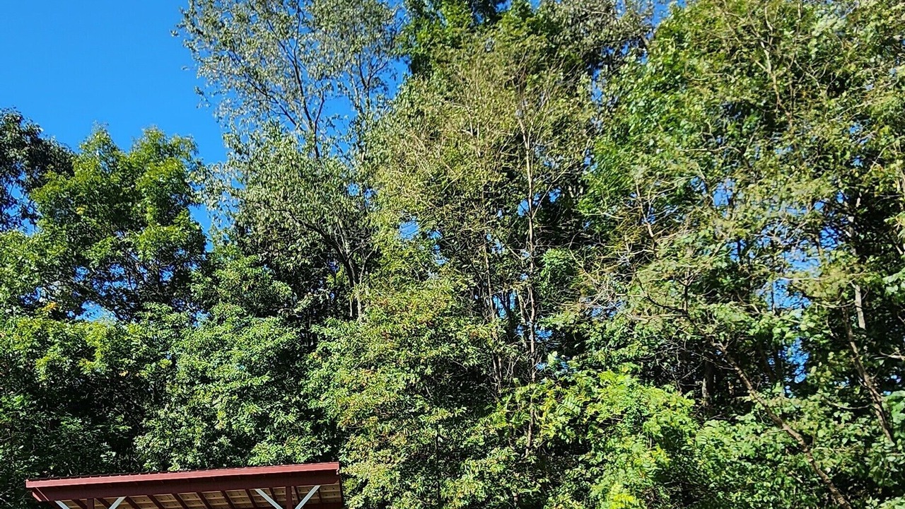Photo of Outdoor in Carpenter
