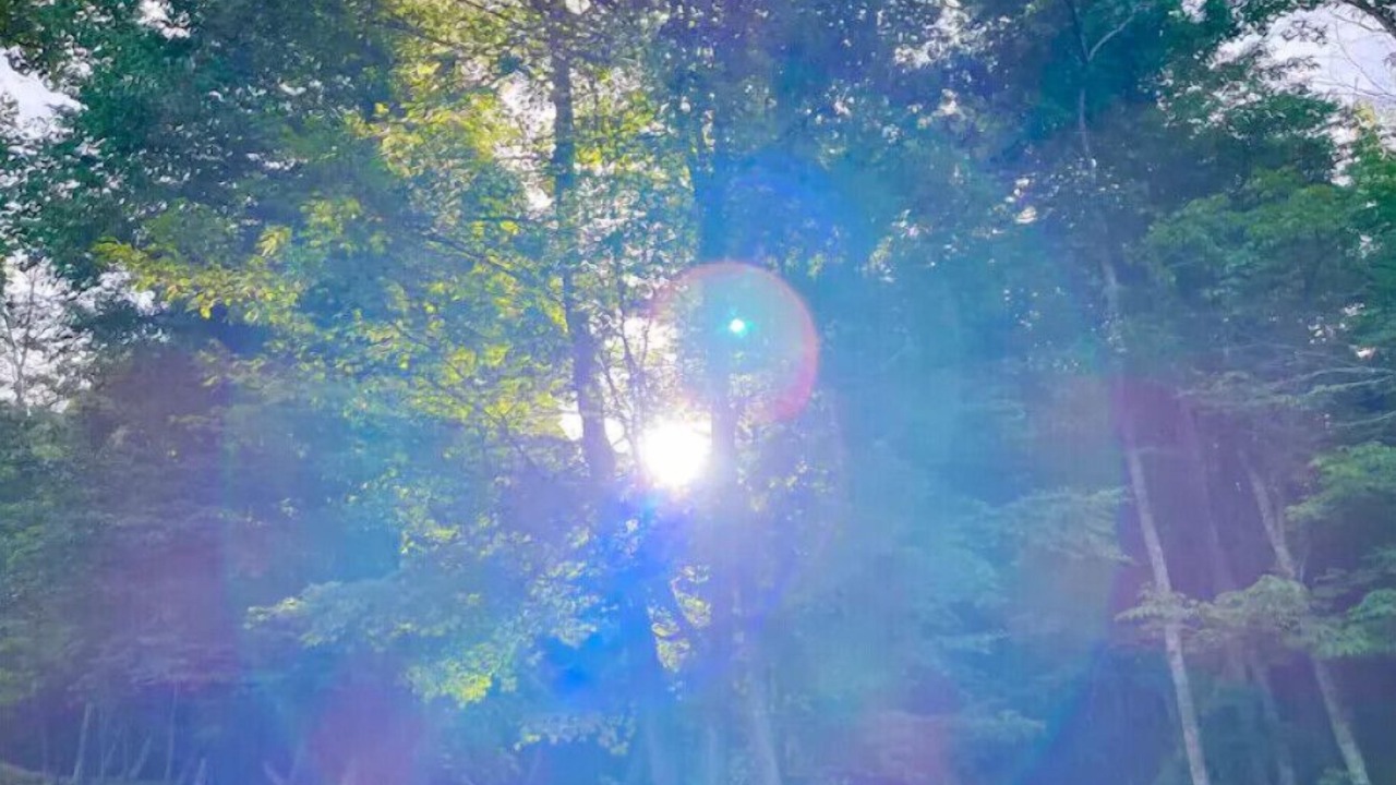 Photo of Others in Green Mountain